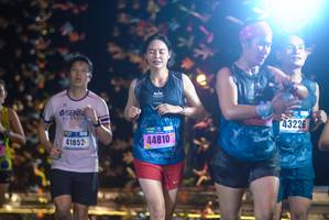 BIB: 43226, 41852, 44810
                            <button type="button" onclick="openModal(18286864)" class="btn btn-primary btn-sm float-right btn-popup" data-toggle="modal" data-target=".modal-high-quality">
                        <i class="fas fa-shopping-cart"></i> Add to Cart
                    </button>
                                            <button type="button" onclick="isThisMe(18286864, true)" class="btn btn-success btn-sm float-right btn-popup btn-isme hidden" data-toggle="tooltip" data-placement="bottom" title="นี่คือรูปของคุณใช่ไหม คลิกที่นี่เพื่อเอาเข้าอัลบั้ม">
                        <i class="fas fa-plus"></i> Add to album
                    </button>
                    <button type="button" onclick="isThisMe(18286864, false)" class="btn btn-warning btn-sm float-right btn-popup btn-isnotme hidden">
                        <i class="fas fa-ban"></i> Remove from album
                    </button>